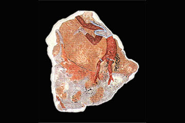 A fragment of painted plaster from Avaris, claimed to depict the famous bull-leaping scene from Knossoss.