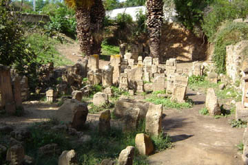 Stelae crowded together on the <i>tophet</i> of Carthage point to the large number of human sacrifices which took place on the site.