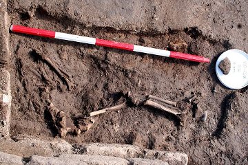 The bones of a 10-year old girl, discovered buried in the corner of a barrack room at Vindolanda.