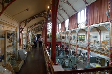 The Dorchester Museum is housed in a splendid Victorian building that is itself worth seeing.