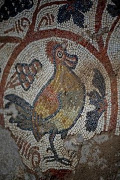 Among the birds depicted in the mosaic floor of the church is this rooster caught, it would appear, in the act of crowing.