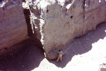 Woolley's great Flood Pit