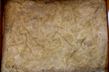 Prehistoric rock art in the Palermo Museum.