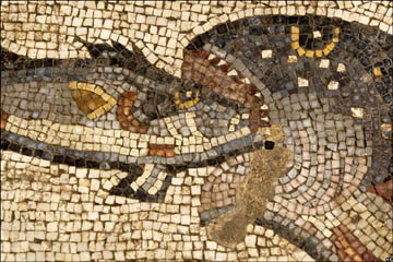 A detail of the Lod mosaic, showing one fish swallowing another.