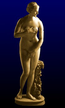 The Jenkins Venus