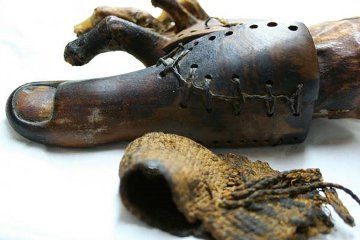 Papier Mache Toe