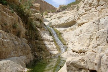 The spring at Engedi