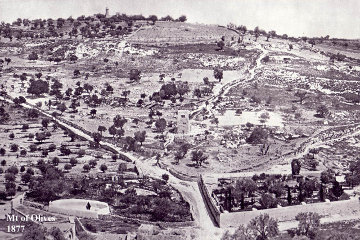 The paths on the Mount of Olives.