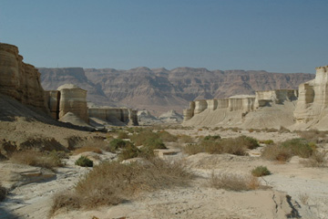 Natural formations caused by erosion through lake-bed sdeiments.